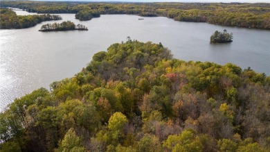 Lake Lot For Sale in Chetek, Wisconsin