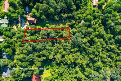 Palmetto Lake Lot For Sale in Saluda North Carolina