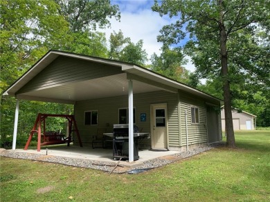 Lake Home For Sale in Hackensack, Minnesota