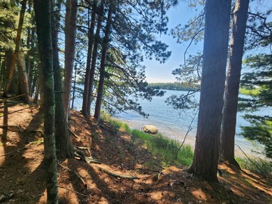 10.58 acres of Big Ripley Island surrounded by renowned Lake - photo 11