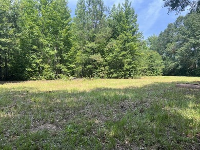 Looking to build your dream home or vacation home on Lake - photo 11