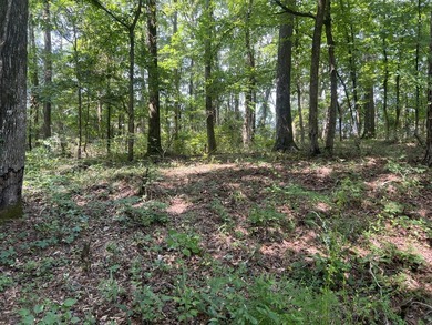 Looking to build your dream home or vacation home on Lake - photo 12