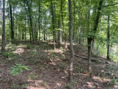 Looking to build your dream home or vacation home on Lake - photo 13