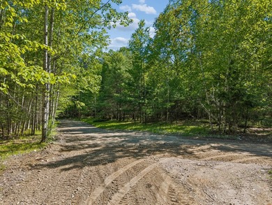 Entire 12.9 parcel - MLS #1667771, 2 acre parcel - MLS # 1667773 - photo 14