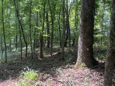 Looking to build your dream home or vacation home on Lake - photo 14