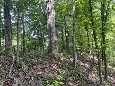 Looking to build your dream home or vacation home on Lake - photo 15