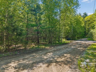 Entire 12.9 parcel - MLS #1667771, 2 acre parcel - MLS # 1667773 - photo 16