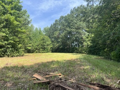 Looking to build your dream home or vacation home on Lake - photo 16
