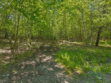 Entire 12.9 parcel - MLS #1667771, 2 acre parcel - MLS # 1667773 - photo 17