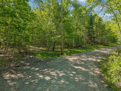 Entire 12.9 parcel - MLS #1667771, 2 acre parcel - MLS # 1667773 - photo 18