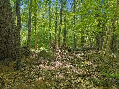 Entire 12.9 parcel - MLS #1667771, 2 acre parcel - MLS # 1667773 - photo 19