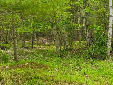 Entire 12.9 parcel - MLS #1667771, 2 acre parcel - MLS # 1667773 - photo 20