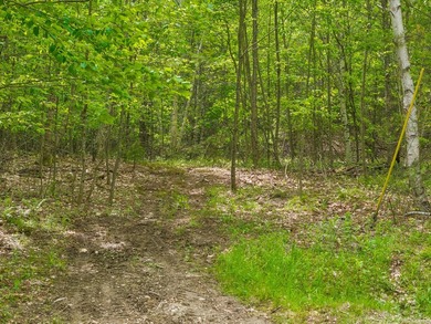 Entire 12.9 parcel - MLS #1667771, 2 acre parcel - MLS # 1667773 - photo 21
