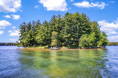 10.58 acres of Big Ripley Island surrounded by renowned Lake - photo 29