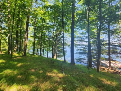 10.58 acres of Big Ripley Island surrounded by renowned Lake - photo 30