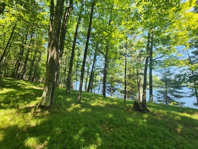 10.58 acres of Big Ripley Island surrounded by renowned Lake - photo 31