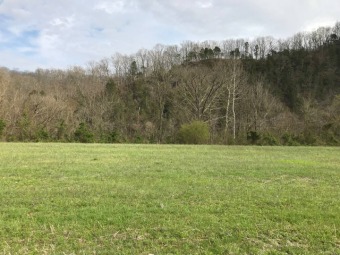 Cumberland River - Cumberland County Lot For Sale in Burkesville Kentucky