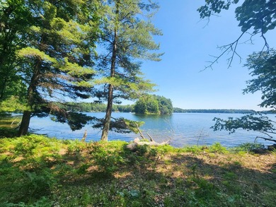 10.58 acres of Big Ripley Island surrounded by renowned Lake - photo 32