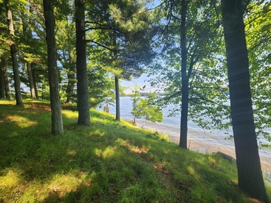 10.58 acres of Big Ripley Island surrounded by renowned Lake - photo 36
