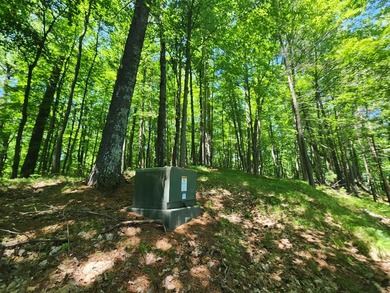 10.58 acres of Big Ripley Island surrounded by renowned Lake - photo 38