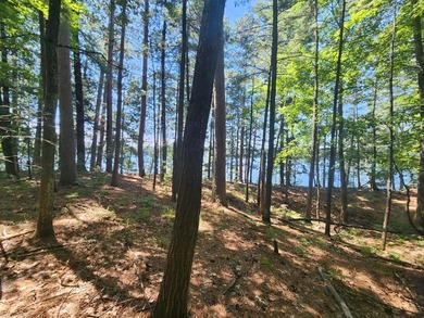 10.58 acres of Big Ripley Island surrounded by renowned Lake - photo 39