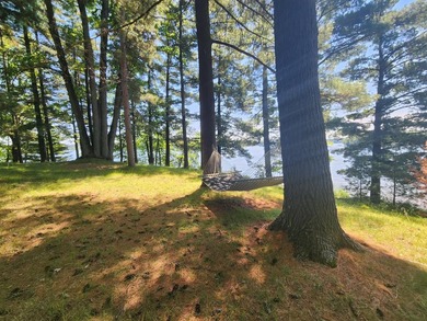 10.58 acres of Big Ripley Island surrounded by renowned Lake - photo 40