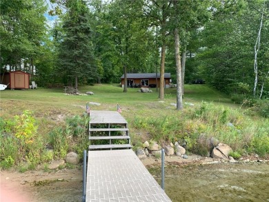 Lake Home For Sale in Hackensack, Minnesota
