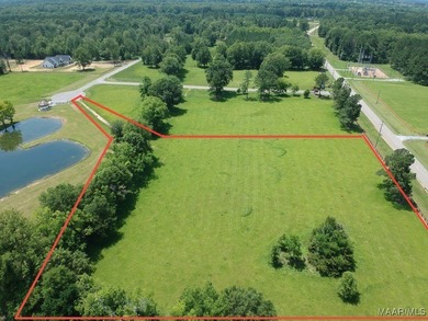 (private lake, pond, coastal) Acreage For Sale in Pike Road Alabama