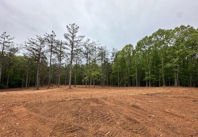 APPROX 70 ACRES OF LAFAYETTE COUNTY MS LAND JOINING THE HOLLY - photo 12