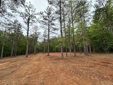 APPROX 70 ACRES OF LAFAYETTE COUNTY MS LAND JOINING THE HOLLY - photo 13