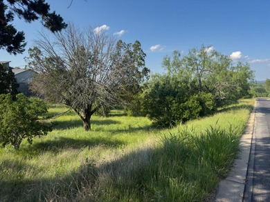 Build your custom home masterpiece at 312 Hideaway Court, an - photo 4