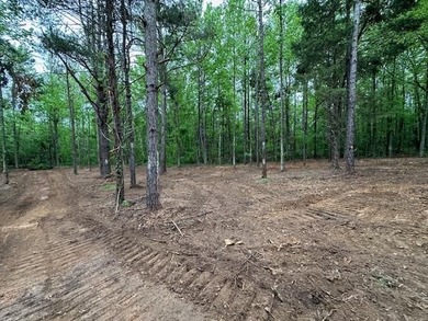 APPROX 70 ACRES OF LAFAYETTE COUNTY MS LAND JOINING THE HOLLY - photo 16