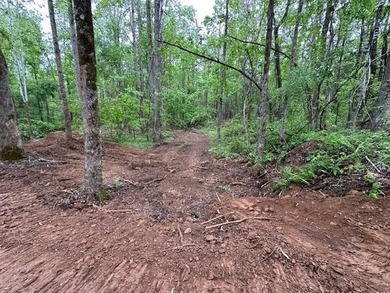 APPROX 70 ACRES OF LAFAYETTE COUNTY MS LAND JOINING THE HOLLY - photo 17