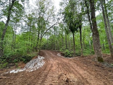 APPROX 70 ACRES OF LAFAYETTE COUNTY MS LAND JOINING THE HOLLY - photo 18