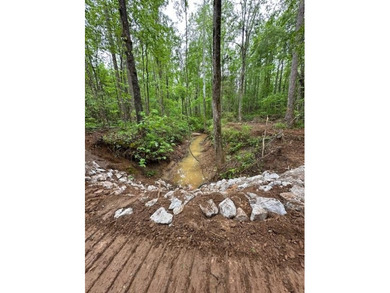 APPROX 70 ACRES OF LAFAYETTE COUNTY MS LAND JOINING THE HOLLY - photo 19