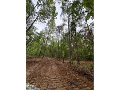 APPROX 70 ACRES OF LAFAYETTE COUNTY MS LAND JOINING THE HOLLY - photo 20