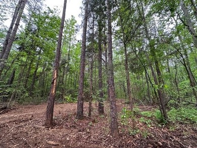 APPROX 70 ACRES OF LAFAYETTE COUNTY MS LAND JOINING THE HOLLY - photo 21