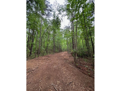 APPROX 70 ACRES OF LAFAYETTE COUNTY MS LAND JOINING THE HOLLY - photo 22