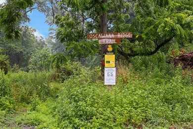 If you've been longing for peace and quiet in the heart of - photo 23