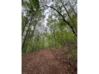 APPROX 70 ACRES OF LAFAYETTE COUNTY MS LAND JOINING THE HOLLY - photo 23