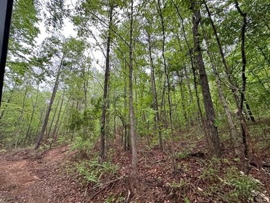 APPROX 70 ACRES OF LAFAYETTE COUNTY MS LAND JOINING THE HOLLY - photo 24