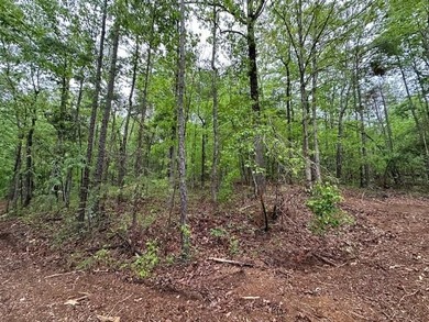 APPROX 70 ACRES OF LAFAYETTE COUNTY MS LAND JOINING THE HOLLY - photo 26
