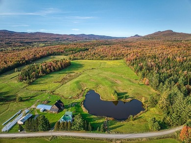 +/- 200 ACRES A MANSONVILLE * A 6 MINUTES D'OWLS HEAD * Nichee - photo 27