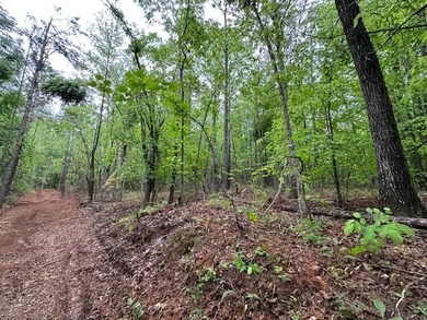 APPROX 70 ACRES OF LAFAYETTE COUNTY MS LAND JOINING THE HOLLY - photo 27
