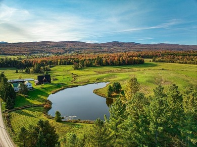 +/- 200 ACRES A MANSONVILLE * A 6 MINUTES D'OWLS HEAD * Nichee - photo 28