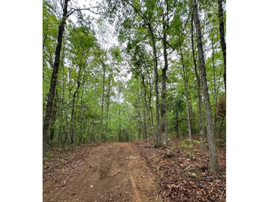 APPROX 70 ACRES OF LAFAYETTE COUNTY MS LAND JOINING THE HOLLY - photo 28