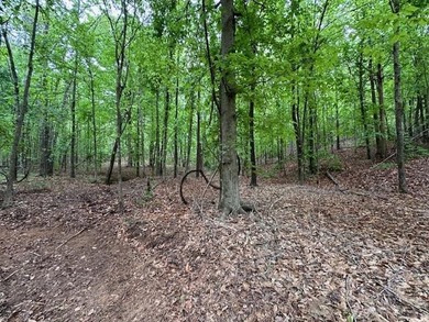 APPROX 70 ACRES OF LAFAYETTE COUNTY MS LAND JOINING THE HOLLY - photo 30