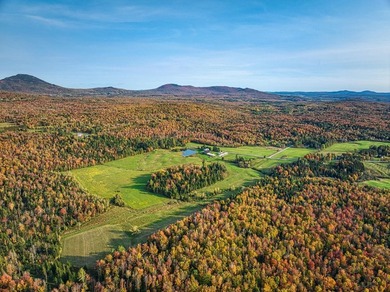 +/- 200 ACRES A MANSONVILLE * A 6 MINUTES D'OWLS HEAD * Nichee - photo 31