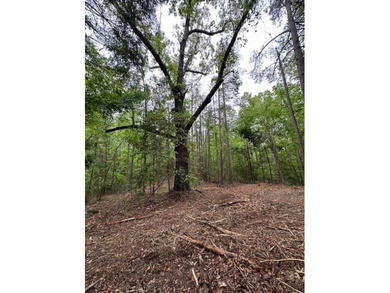 APPROX 70 ACRES OF LAFAYETTE COUNTY MS LAND JOINING THE HOLLY - photo 32