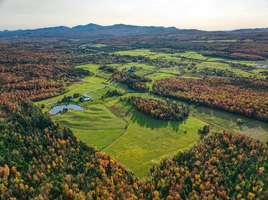+/- 200 ACRES A MANSONVILLE * A 6 MINUTES D'OWLS HEAD * Nichee - photo 33